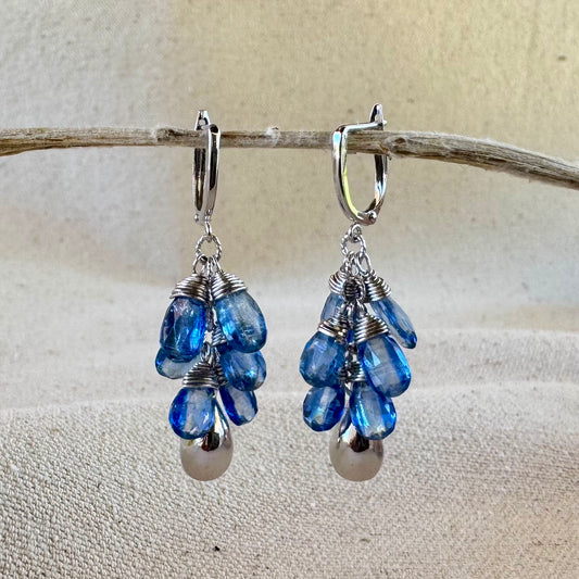 Redwood Raindrop Earrings with Kyanite