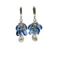Redwood Raindrop Earrings with Kyanite